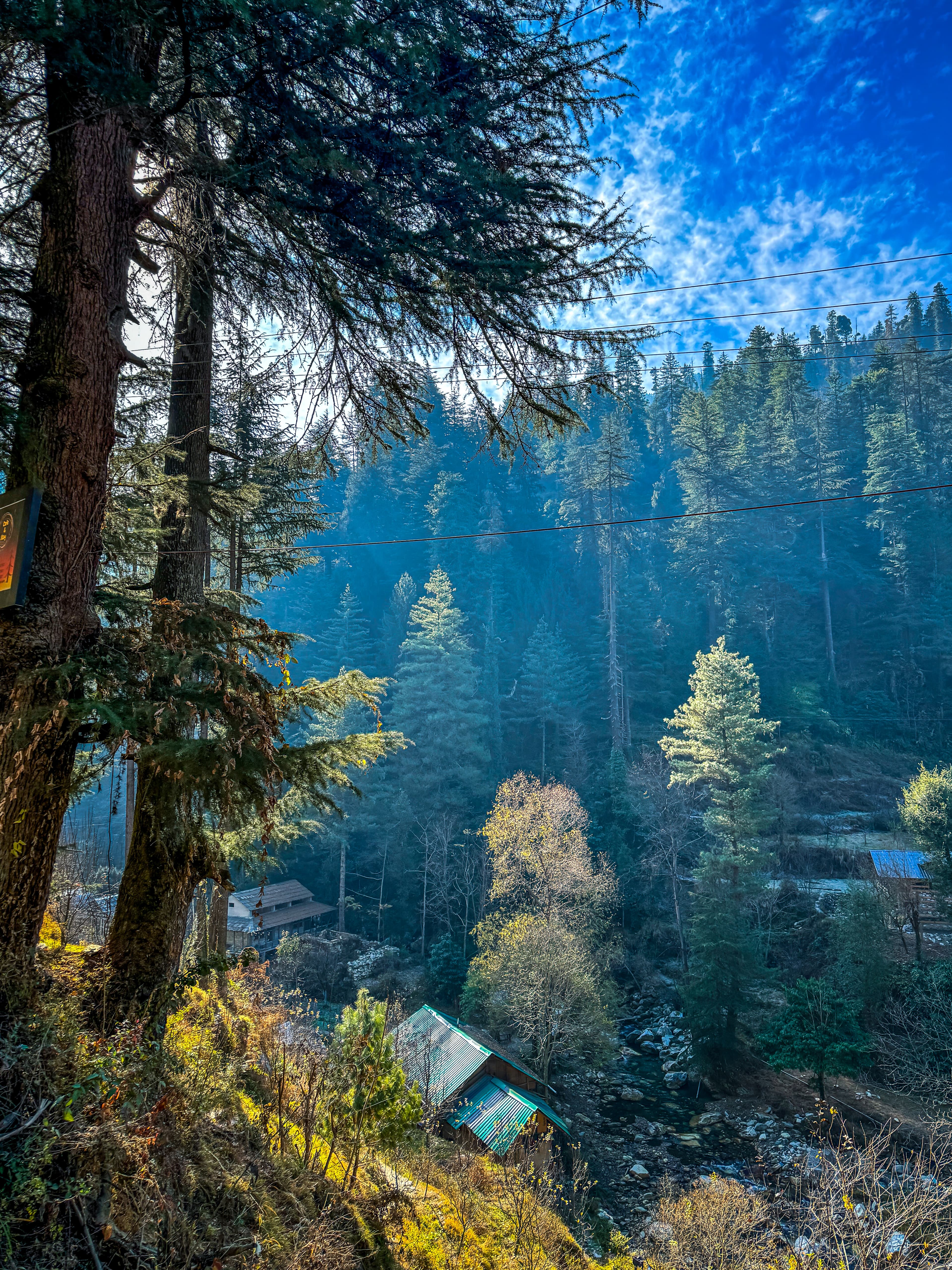 Wooden cottages in Jibhi pine forest