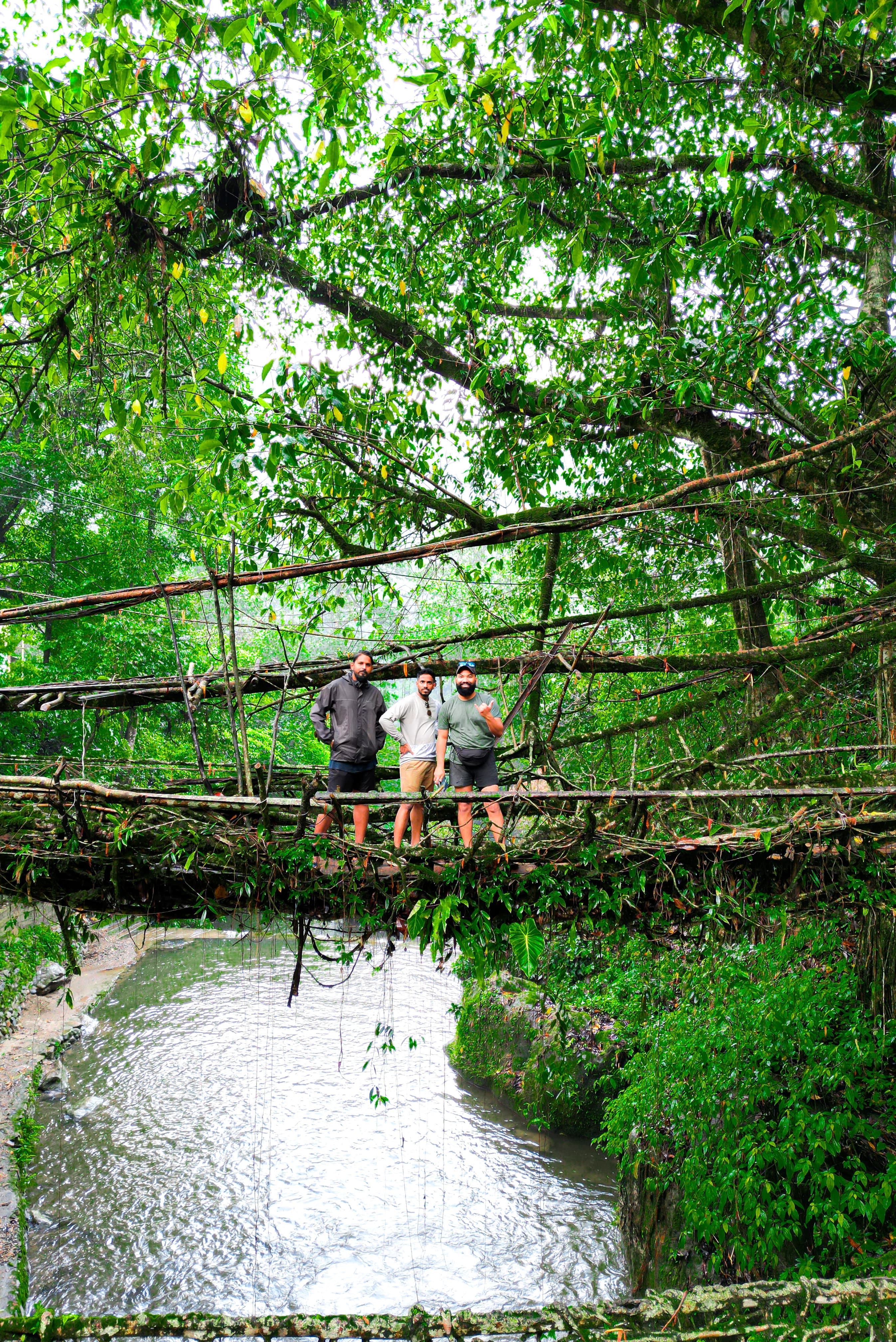 Lush green waterfalls in Meghalaya