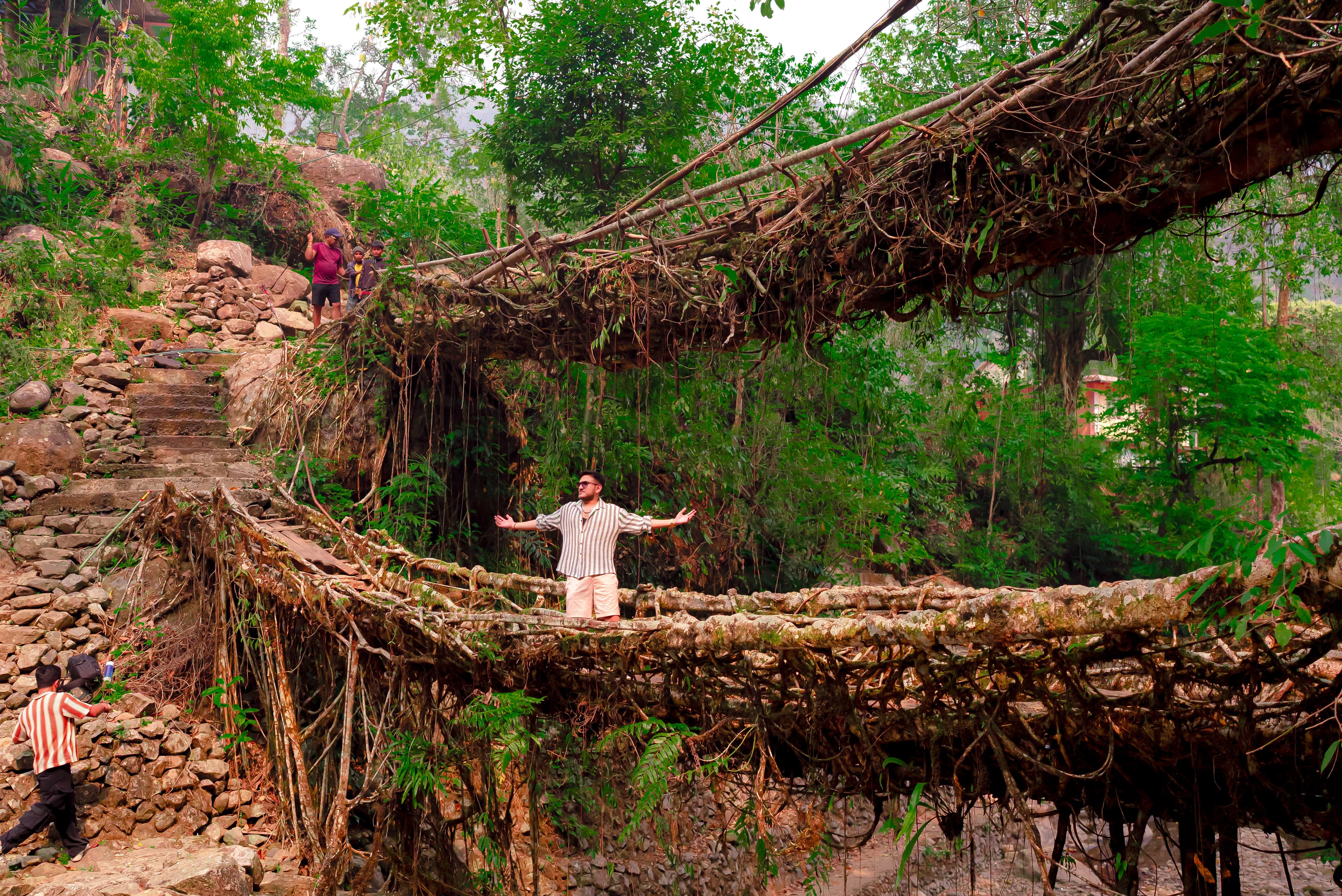 Living root bridge in Meghalaya